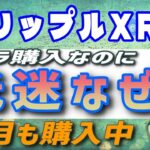 【リップル（XRP）】クジラの投資にもかかわらず価格が低迷なぜ？