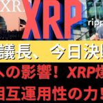 XRP爆発！相互運用性の力！ XRPへの影響！ XRPリップル価格！ リップル/SEC合意の可能性+1,000%上昇！ リップル、ビットコイン時価総額を突破近接？- BTC XRP