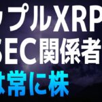 【リップル・XRP】リップル社一部勝訴についての元SEC関係者の見解【仮想通貨・暗号資産】