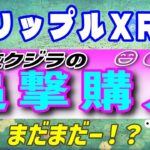 【リップル（XRP）】最新情報！XRPの上位クジラが追加購入か⁉【仮想通貨】
