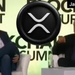 Brad Garlinghouse: Banks and institutions will use Ripple Xrp!