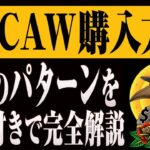 【CAW】※最新版※初心者でも問題なし！「CAW」の購入方法を完全解説！！【仮想通貨】【BTC】【CAW購入】【イーロン】