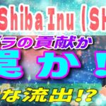 【Shiba Inu(SHIB) 】シバイヌトークンが上昇前に取引所から流出！クジラの貢献か罠か⁉【仮想通貨】