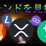 中国恒大集団ショック後のアルトコイン下落率ランキングTOP10がヤバすぎた…リップルXRP SHIB ビットコインキャッシュ、ライトコイン matic等、人気銘柄多数登場