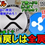 リップル（XRP）が全戻しで64円に⁉日本円の崩壊がすぐそこまで迫っている？仮想通貨へ逃げろ！