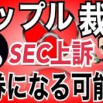 リップル（XRP）再び証券に該当する可能性！？SECがリップル裁判の内容に不服で上訴か。