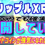 【リップル（XRP）】XRPLを利用するビットコイン決済会社！【仮想通貨】世界的な業界団体ISDA加入！ファンダが続々。