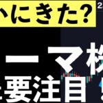 【ついにきた？】あのテーマ株が急上昇！要注目！