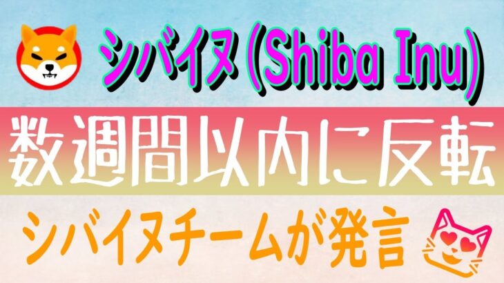 【シバイヌ（Shiba Inu）】衝撃的反転⁉とシバイヌチームが発言【仮想通貨】柴犬トークンの今