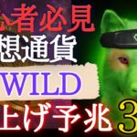 【仮想通貨】最新！初心者でもわかる 爆上げする$WILD 3つの予兆