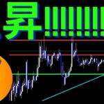 今週は上昇優位と考える理由📈