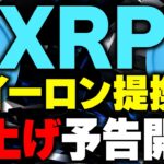 【リップル(xrp)最新情報❗️】仮想通貨XRPがイーロン銘柄に！今後の相場はどうなるのか？【ビットコイン(BTC)】