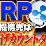 【リップル(xrp)最新情報❗️】イーロンとXRPが手を組む⁉️このファンダは今後どうなっていくのか？【仮想通貨】【ミーム】【XRP】