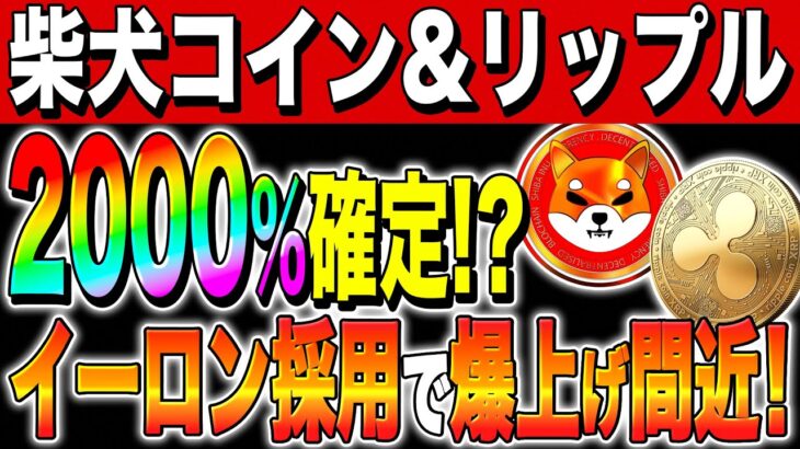 【リップル×柴犬コイン】イーロンマスクが採用？！2000％確定か！？爆上げ間近！【仮想通貨】【XRP】【shiba】【今後】【最新情報】【今後】【シバイヌ】【シバリウム】