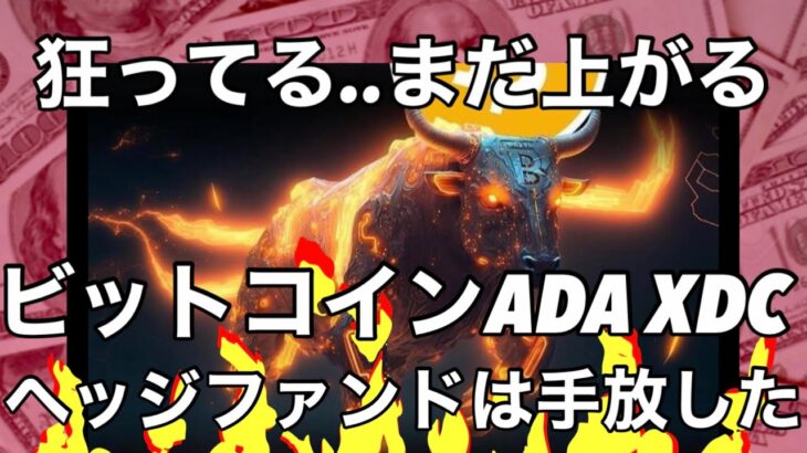 狂ってる..まだ上がるビットコイン カルダノADA XDC ヘッジファンドは手放した