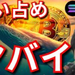 ビットコインの買い占めがヤバイ。驚愕の新事実。(仮想通貨情報+ナスダック BTC ETH XRP TON SOLANA ドル円 相場分析)