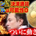 イーロンX決済通貨【リップルは可能性0】ついに動き出す！訴訟問題最新情報！保有者20〇〇年完全勝利【仮想通貨】【XRP】