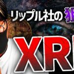 リップル社、株式上場も視野？XRP価格への影響は？？