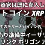 ビットコインXRP XDC機関投資家は既に参入している　大量売却準備中ソラナ リンク イーサリアム ポリゴン アルゴランド