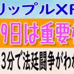 【リップル（XRP）】11月9日は、リップルとSECの法廷闘争の重要な日です【仮想通貨】3分で法廷闘争がわかる!?