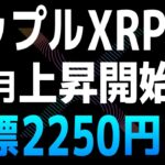 XRPの目標価格は15ドルで2023年11月に上昇開始か【リップル・Ripple・XRP】【仮想通貨・暗号資産】