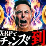 【XRP(リップル)】※爆益濃厚⁉️過去7年続く大型イベント開催決定‼️例年イベント前に爆上がりしています‼️仕込みポイントも徹底解説します。【仮想通貨】【ビットコイン】【草コイン】