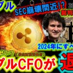 リップル（XRP)のCFOが退任!?SECがすべての不幸を生み出している！2024年に仮想通貨バブルが開始！MARGEXが日本に進出？