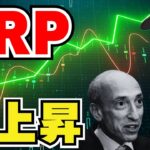 【XRP】リップル急上昇！理由と今後について｜ビットコイン好調｜ETHが最も愛されないアルトコインに。。