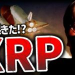 XRP急騰！何が起きた？好調な$SOLの年末価格予想！