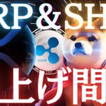 【イーロン砲】リップル＆シバイヌがX決済通貨確定⁈爆上げの予感‥‼【仮想通貨】【XRP】【SHIB】【ビットコイン】