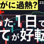 【大興奮】たった1日で全てが好転したチャートについて詳しく解説