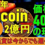 【ビットコイン価格40倍】2030年,1BTC=2億円の理由。仮想通貨は今からでも遅くない？