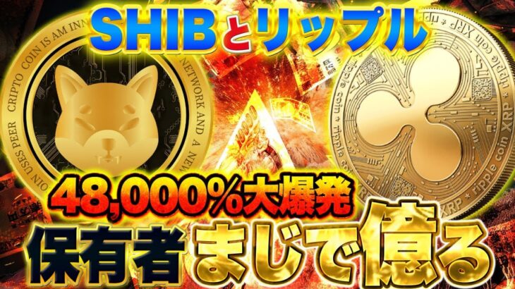 シバイヌとリップル【保有者マジで億る】48,000%の大爆発！バイナンスCZ退任！超爆上げカウントダウン【仮想通貨】