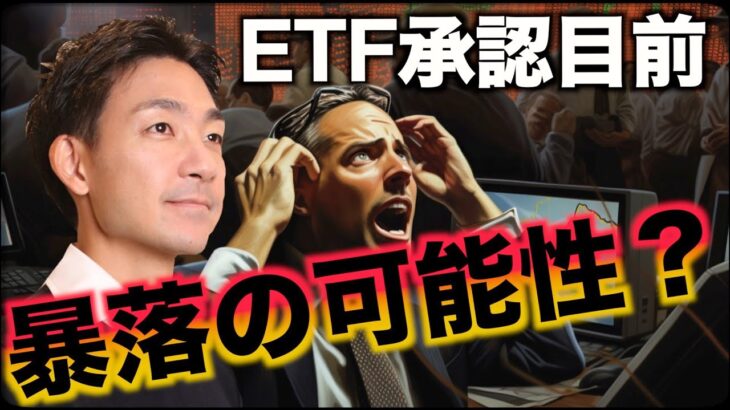 ビットコイン暴落の可能性？etf承認まで上昇は続くのか？ │ 金融情報のまとめ