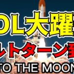 【仮想通貨 ビットコイン】アルトコインシーズンの幕開け！リードするSolanaの理由はコレ（朝活配信1296日目 毎日相場をチェックするだけで勝率アップ）【暗号資産 Crypto】