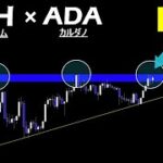 明らかなる変化です。アセトラの見極め方解説【イーサリアム  カルダノ】