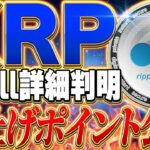 【リップル(xrp)】リップルのswellスケジュール公開！2024年は仮想通貨の爆上げ祭り！今後のXRPはどうなる！？
