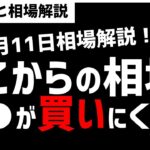 【12月11日のゆるっと相場解説】日経市場はここから●●が買ってくるのか？アノマリーどおりの年末高になるのか！ズボラ株投資
