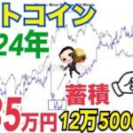 【2024年】ビットコイン価格125000ドル到達予測！？BTCマイナー蓄積顕著か