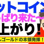 ビットコイン（BTC）やっぱり来た〜！爆上がり！デジタルゴールドの本領発揮！