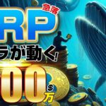 XRP急落で1400万ドルのクジラが動く！仮想通貨投資初心者必見のヒントと今後の展望 【仮想通貨】【ビットコイン】【XRP】【リップル】
