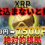 【XRP】リップル驚異的な分析結果公開！今後1XRP7,500円に届きます。【仮想通貨】