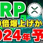 【XRP】2024年爆上げ！リップル価格予測｜ビットコイン3カ月で5.5万ドルへ｜イーサリアム3600ドル予測｜Solanaが下落、BNBに抜かれる