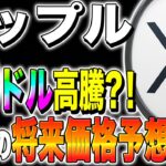 【リップル(XRP)】50ドル高騰？！最新の将来価格予想とは？【仮想通貨最新情報】【仮想通貨】【今後】【柴犬コイン】【ripple】【SEC裁判】