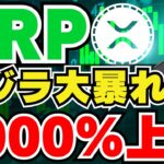 【XRP】リップルが大量に動く！8000％上昇なるか｜ビットコインETF・承認に向けた会合｜イーサリアム好調｜Solana,Chainlink