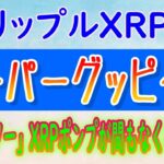 【リップル（XRP）】「モンスター」XRPポンプが間もなく登場⁉【仮想通貨】刻々と近づくブレイクアウト！