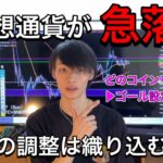 【仮想通貨急落！】　でもこれはよくあることです。今後は2つのシナリオ　【BTC・仮想通貨相場分析】