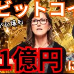 ビットコイン(BTC)価格が2030年２億円？可能か考察した