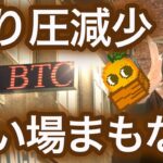 【ビットコイン仮想通貨 初心者必見シリーズ】買い場まもなく 相場メカニズム NFTまり