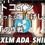 ビットコイン 爆上げ高値更新する SHIB　ADA XLM XRP  USDT テザーの作戦
